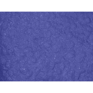 GGS 705VPF - Medical Grade Disposable Gloves - Powder Free, Violet Nitrile 5-Mil, Textured Fingers, Ambidexterous - FDA Compliant - CASE - Image 5