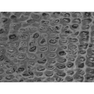 GGS PUG-921 -  Salt-and-Pepper Cut Resistant Polyurethane Coated Touch Screen Gloves Made with 21-Gauge Tuffalene® Platinum - Cut Level A4 - Image 3