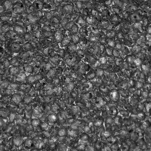 Global Glove - Mach Finish Nitrile-Coated Palm, 18GA, Cut A4 - DOZEN - CR608MF - Image 3